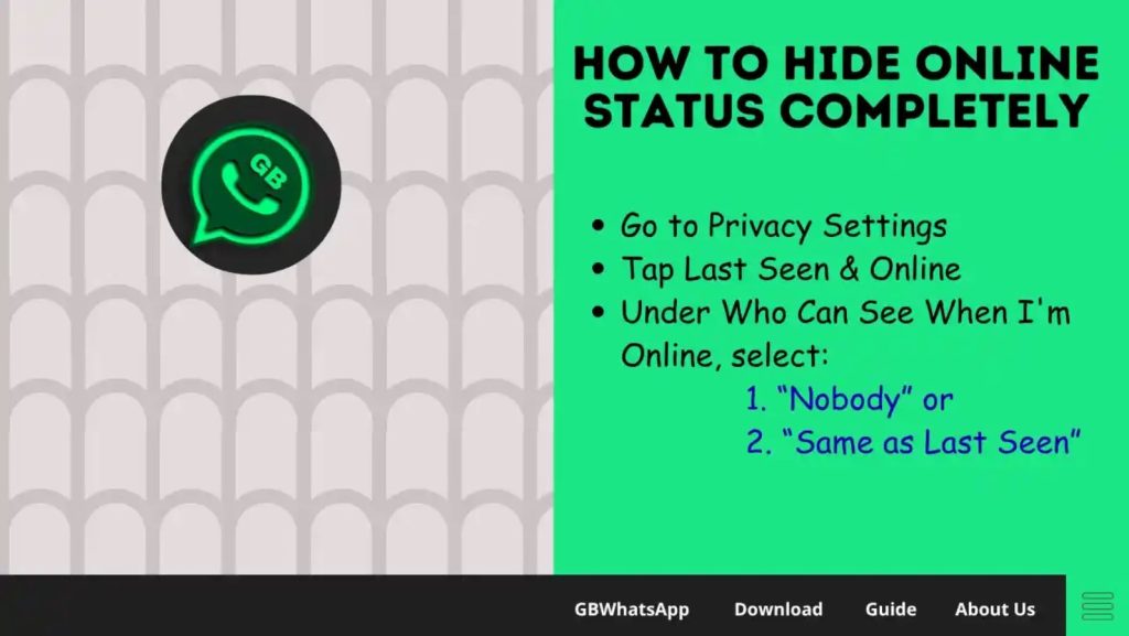 GB WhatsApp Features
